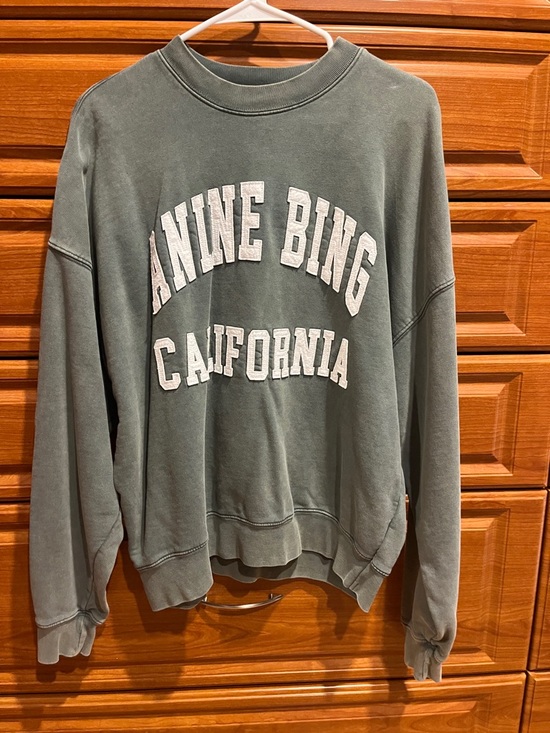 Anine Bing Sweaters - Oversized Anine Bing Sage Green/Gray Logo Crewneck Sweatshirt